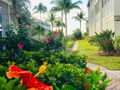 Ground Floor Accommodation with Tropical Views.
